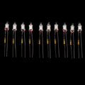 Neon Indicator Light Bulbs with Resistor | 220V Red Blue Green 4x10mm 5x13mm