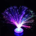 LED Fiber Optic Lamp Star Sky Light | Multicolor Holiday Wedding Centerpiece Decoration