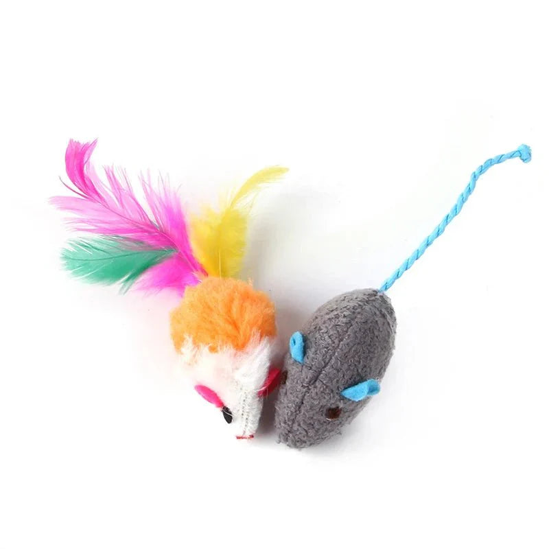 Cat Toy Variety Pack | Interactive Play Set for Kittens and Adult Cats