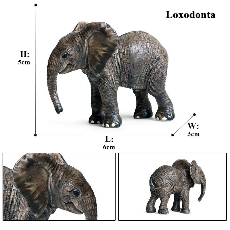 African Elephant Model | Realistic PVC Wildlife Figurine
