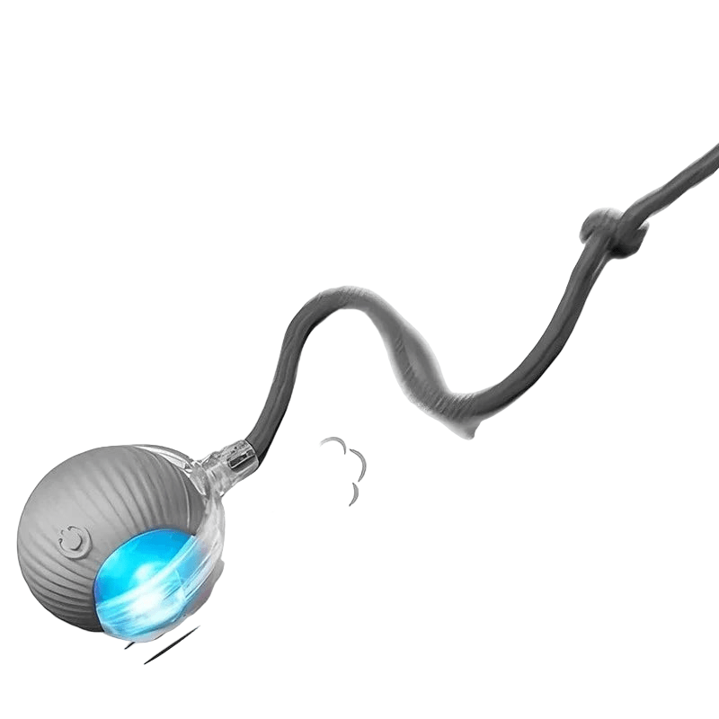 Interactive Cat Toy Ball | Automatic Rolling Rechargeable Cat Toy with Faux Tail