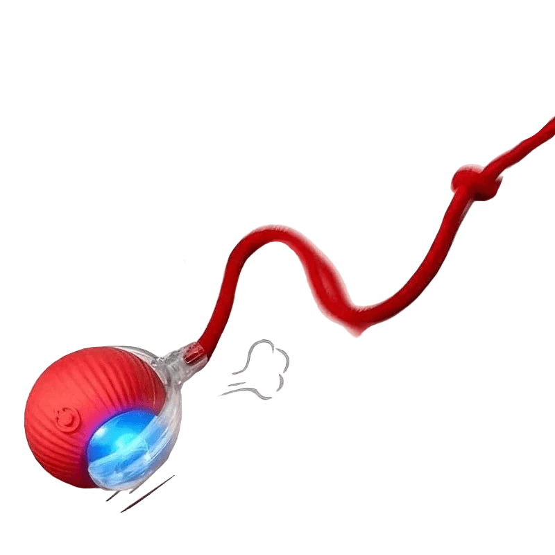 Interactive Cat Toy Ball | Automatic Rolling Rechargeable Cat Toy with Faux Tail